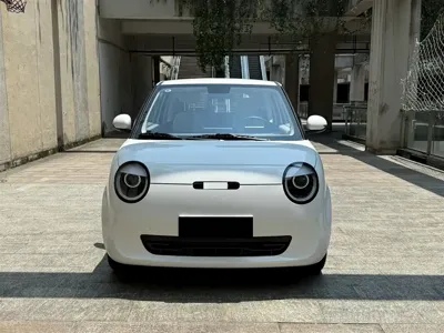 Qiyuan Lumin 2025, 16000 км, за 5560.48 USD