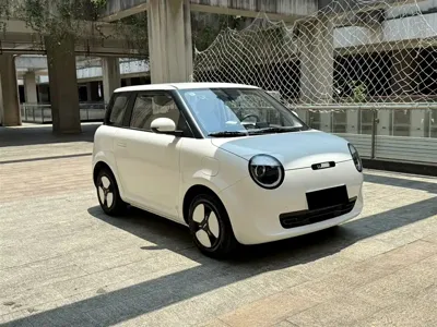 Qiyuan Lumin 2025, 16000 км, за 5560.48 USD