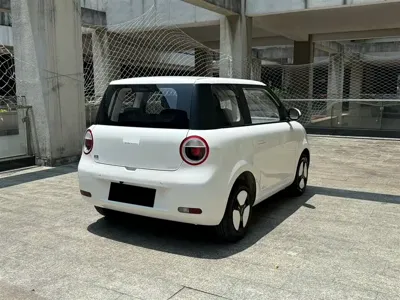 Qiyuan Lumin 2025, 16000 км, за 5560.48 USD