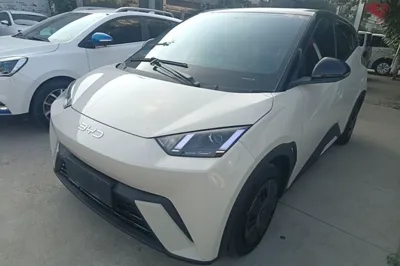 BYD Seagull · 2024 год