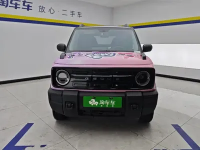 Galaxy Panda 2024, 9500 км, за 5414.84 USD