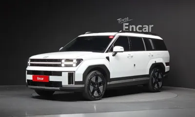 Hyundai Santafe · 2024 год