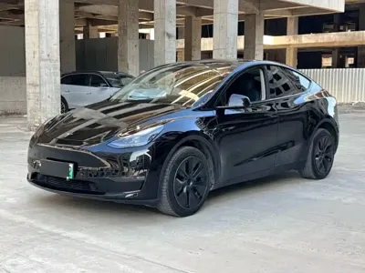 Tesla Model Y · 2024 год