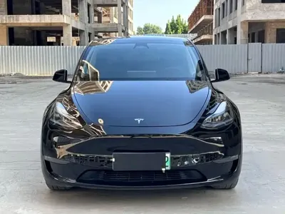 Tesla Model Y 2024, 120000 км, за 22041.95 USD