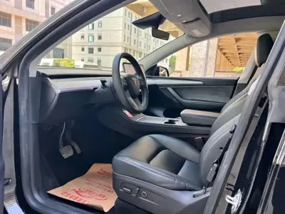 Tesla Model Y 2024, 120000 км, за 22041.95 USD