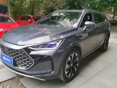 BYD Tang New Energy · 2024 год