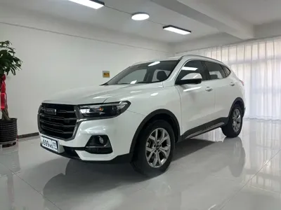 Haval H6 · 2022 год