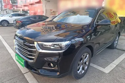 Haval H6 · 2021 год
