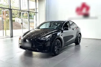 Tesla Model Y · 2023 год