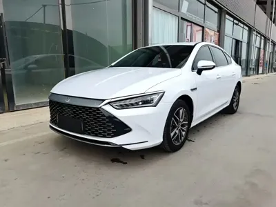 BYD Qin Plus · 2022 год