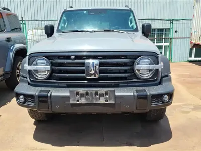 Tank Tank 300 2022, 94000 км, за 19566.36 USD