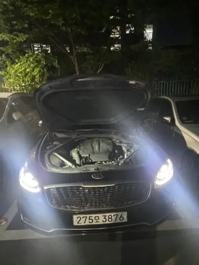 Kia K9 · 2019 год