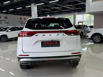 Haval H6 2023, 74000 км, за 11214.15 USD