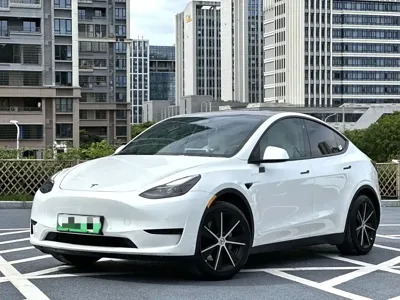 Tesla Model Y · 2024 год