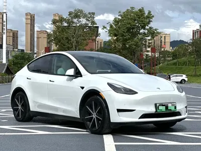 Tesla Model Y 2024, 63000 км, за 27221.37 USD