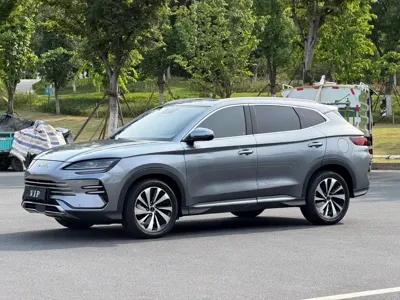 BYD PLUS New Energy · 2024 год