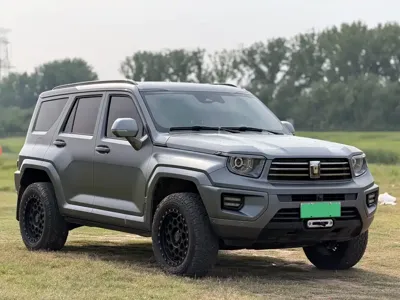 Tank Tank 700 New Energy 2025, 38000 км, за 49919.65 USD