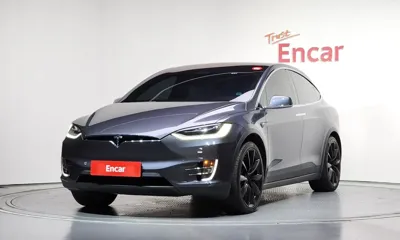 Tesla Model X · 2020 год