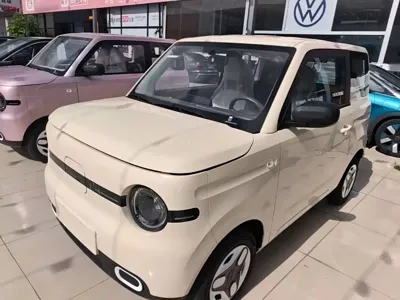 Galaxy Panda 2026, 100 км, за 5402.65 USD