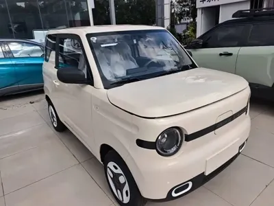 Galaxy Panda 2026, 100 км, за 5402.65 USD