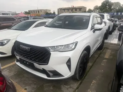 Haval H6 · 2020 год
