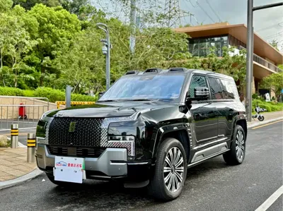 Yangwang Yangwang U8 · 2024 год