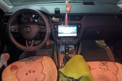 Skoda Octavia 2019, 92000 км, за 7032 USD - фото 9