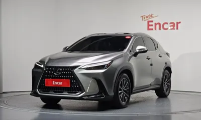 Lexus NX · 2025 год