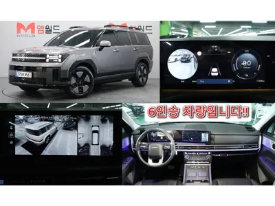 Hyundai Santafe · 2024 год