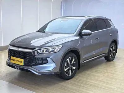 BYD Pro New Energy · 2024 год