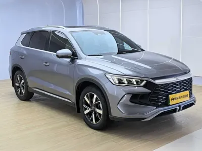 BYD Pro New Energy 2024, 37000 км, за 11757.93 USD