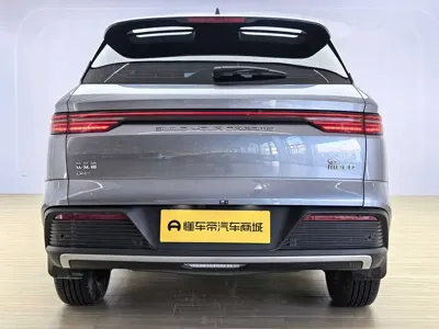 BYD Pro New Energy 2024, 37000 км, за 11757.93 USD