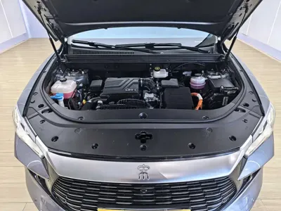 BYD Pro New Energy 2024, 37000 км, за 11757.93 USD - фото 19