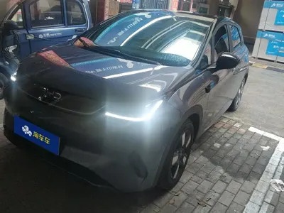 BYD Dolphin · 2025 год