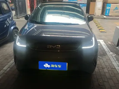 BYD Dolphin 2025, 24900 км, за 11474.01 USD