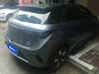 BYD Dolphin 2025, 24900 км, за 11474.01 USD