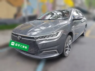 BYD Qin New Energy · 2019 год
