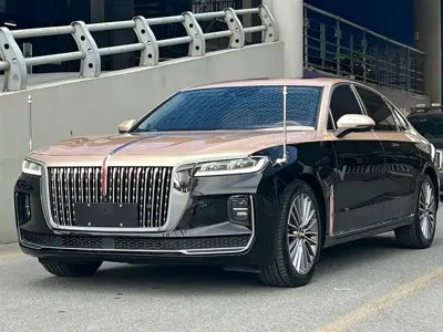 Hongqi Hongqi H9 · 2021 год