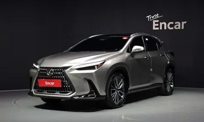 Lexus NX · 2025 год