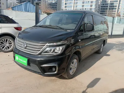 Forthing Lingzhi · 2019 год