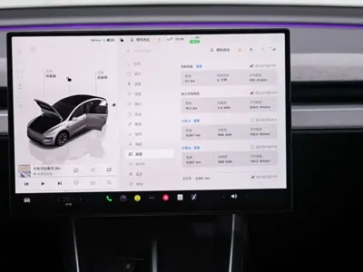 Tesla Model Y L
