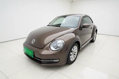 Volkswagen Beetle · 2014 год