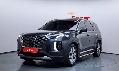 Hyundai Palisade · 2019 год