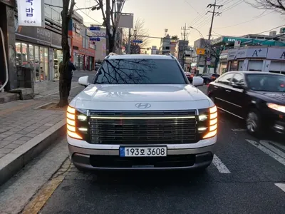 Hyundai Palisade · 2025 год