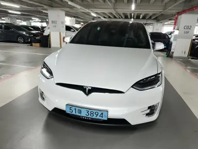 Tesla Model X · 2019 год