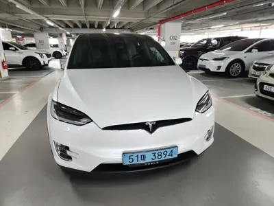 Tesla Model X 2019, 98808 км, за 43849.28 USD