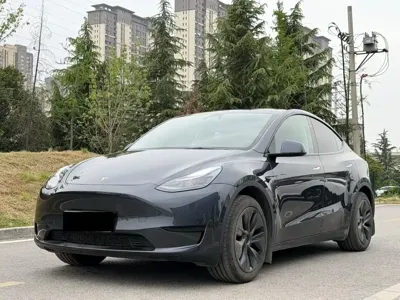Tesla Model Y · 2022 год