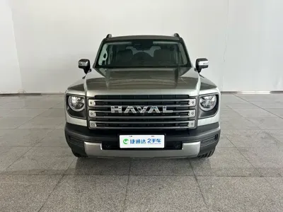 Haval Menglong New Energy 2024, 52500 км, за 17346.9 USD