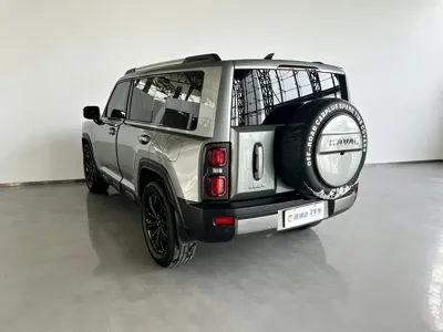 Haval Menglong New Energy 2024, 52500 км, за 17346.9 USD