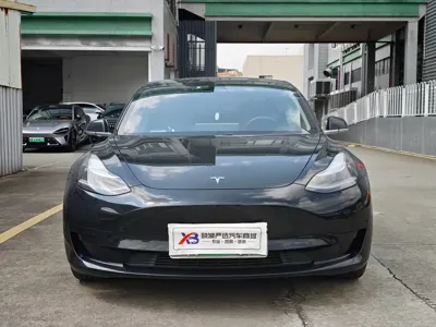 Tesla Model 3 2020, 58000 км, за 15592.89 USD